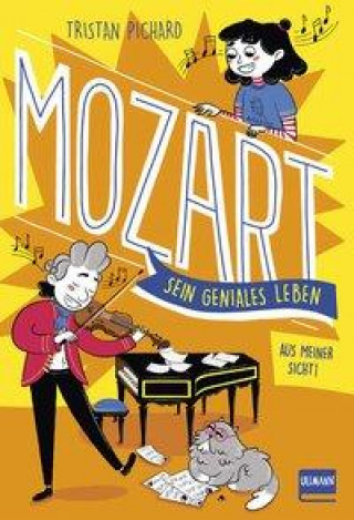 Kniha Mozart - sein geniales Leben Julie Staboszevski