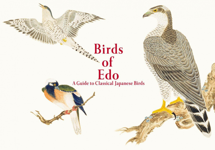Kniha Birds of Edo 