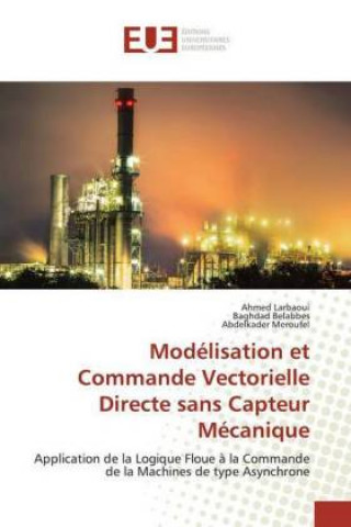 Knjiga Modélisation et Commande Vectorielle Directe sans Capteur Mécanique Baghdad Belabbes