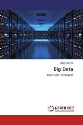 Knjiga Big Data Adeel Hashmi