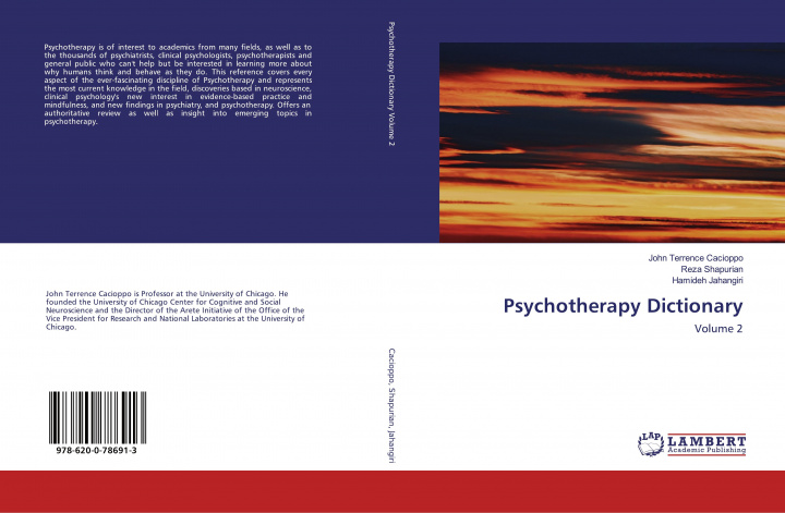 Knjiga Psychotherapy Dictionary Reza Shapurian