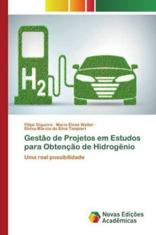 Książka Gestao de Projetos em Estudos para Obtencao de Hidrogenio Maria Elena Walter