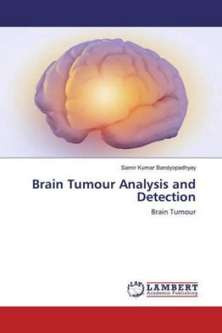 Könyv Brain Tumour Analysis and Detection 