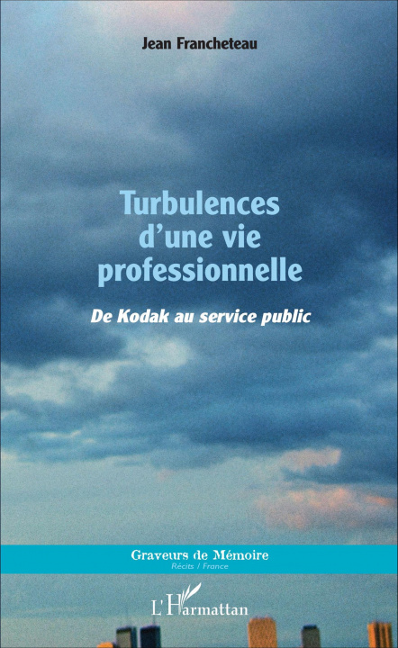 Kniha Turbulences d'une vie professionnelle 