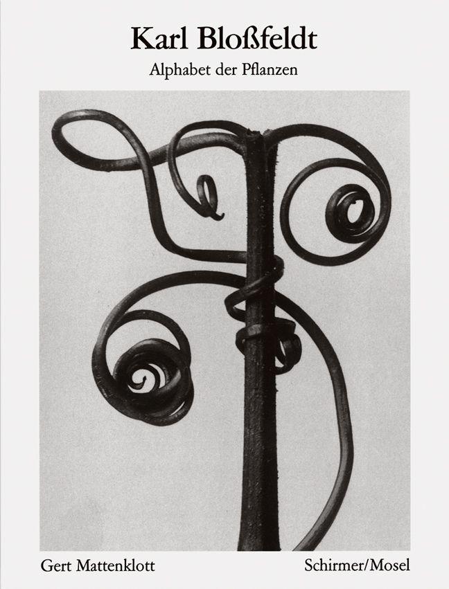 Книга Alphabet der Pflanzen Karl Bloßfeldt