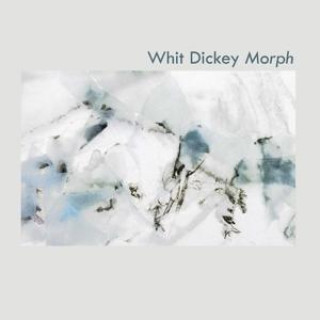 Audio Morph 