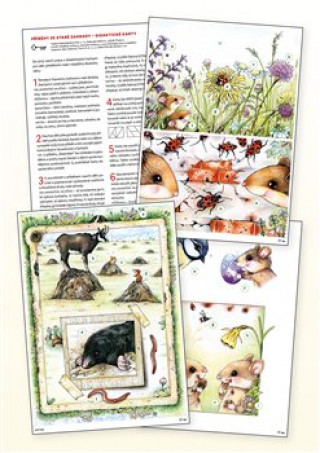 Carte Didaktické karty ke knize "Příběhy ze staré zahrady" 