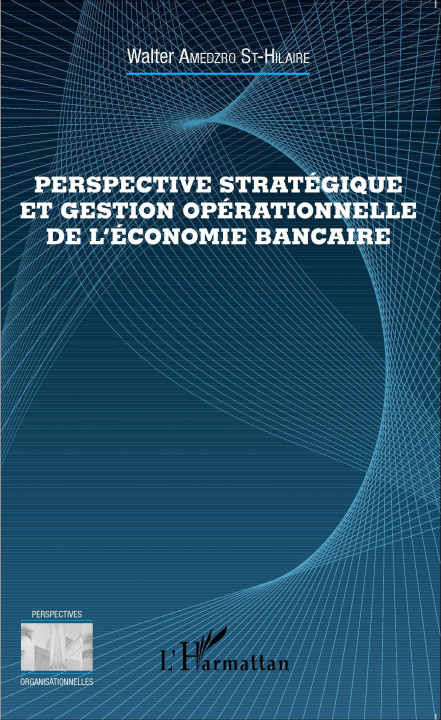 Kniha Perspective stratégique et gestion opérationnelle de l'économie bancaire 