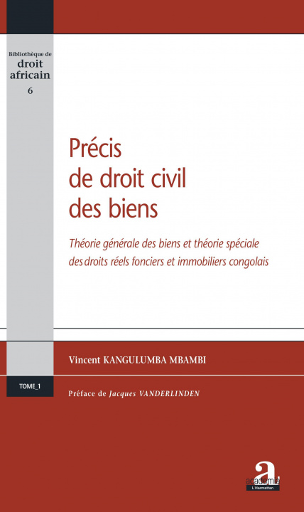 Kniha Précis de droit civil des biens 