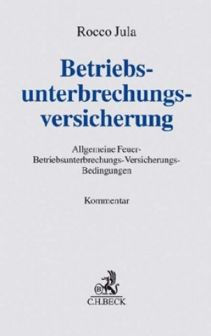 Kniha Betriebsunterbrechungsversicherung 