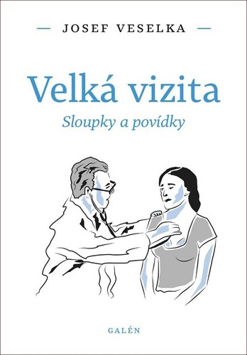 Книга Velká vizita Josef Veselka