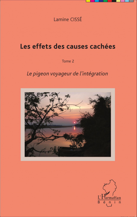 Book Les effets des causes cachées Cissé