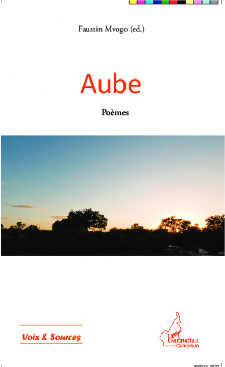 Buch Aube Mvogo