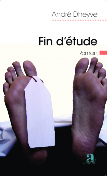 Knjiga Fin d'étude Dheyve