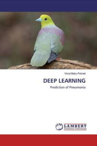 Knjiga Deep Learning Vinod Babu Polinati