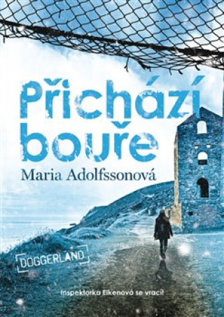 Kniha Přichází bouře Maria Adolfssonová