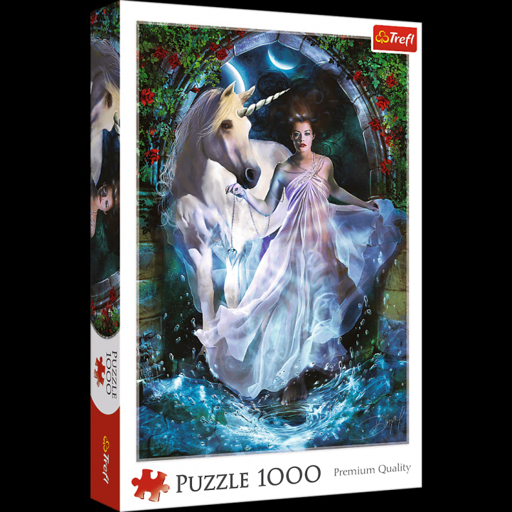 Game/Toy Puzzle 1000 Magiczny wszechświat 10593 