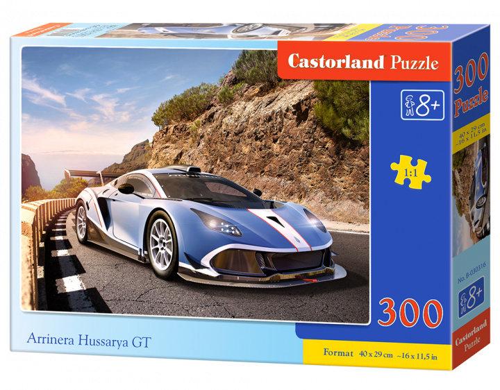 Kniha Puzzle 300 Arrinera hussarya GT B-030316 
