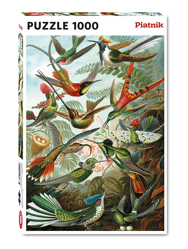 Puzzle - GOOD LOOT - Muscinae - 1000 pièces - Illustration d'Ernst Haeckel - Vert - Jeux - Jouets