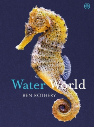 Kniha Water World Ben Rothery