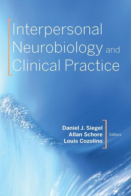 Kniha Interpersonal Neurobiology and Clinical Practice Allan N. Schore