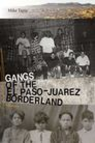 Kniha Gangs of the El Paso-Juarez Borderland TAPIA