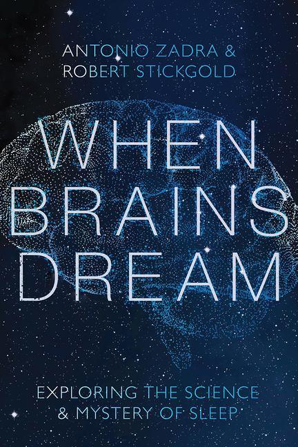 Könyv When Brains Dream 