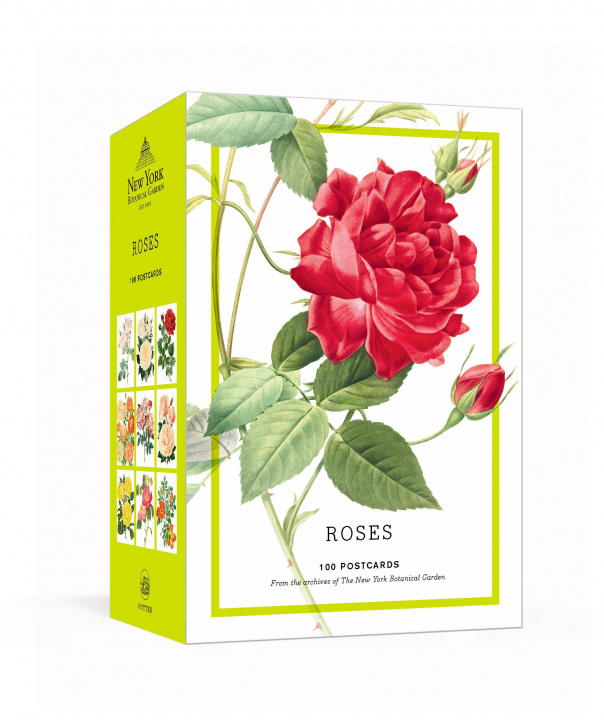 Książka Roses 