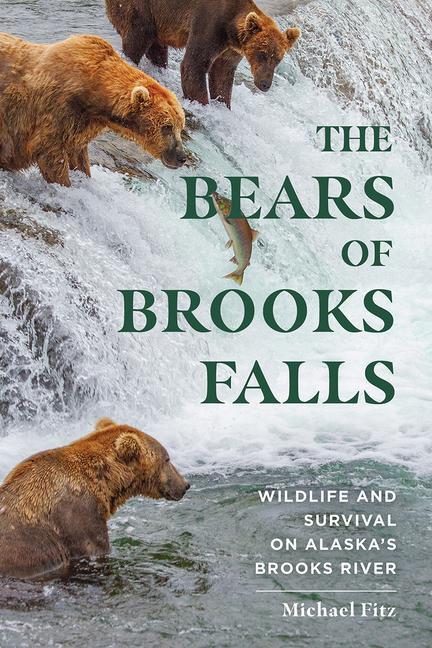 Könyv Bears of Brooks Falls 