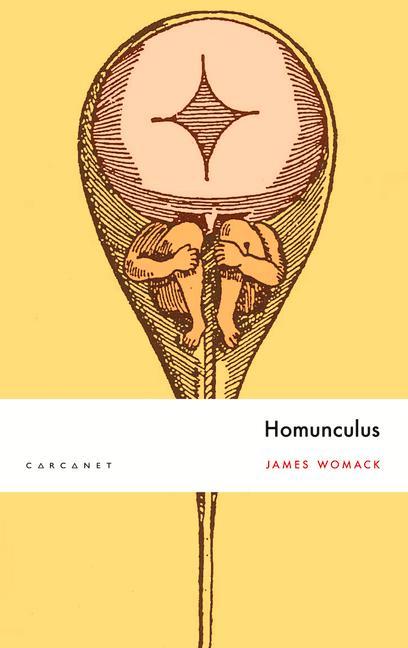 Könyv Homunculus 