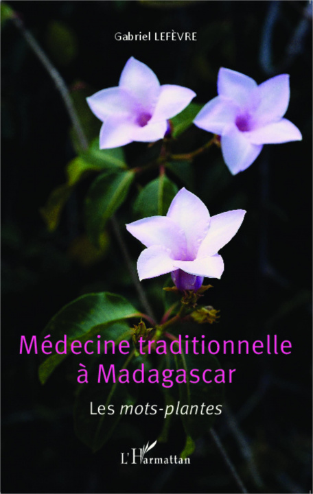 Könyv Médecine traditionnelle ? Madagascar 