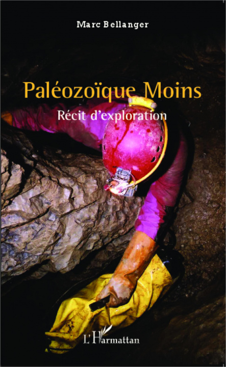 Book Paléozo?que Moins Bellanger