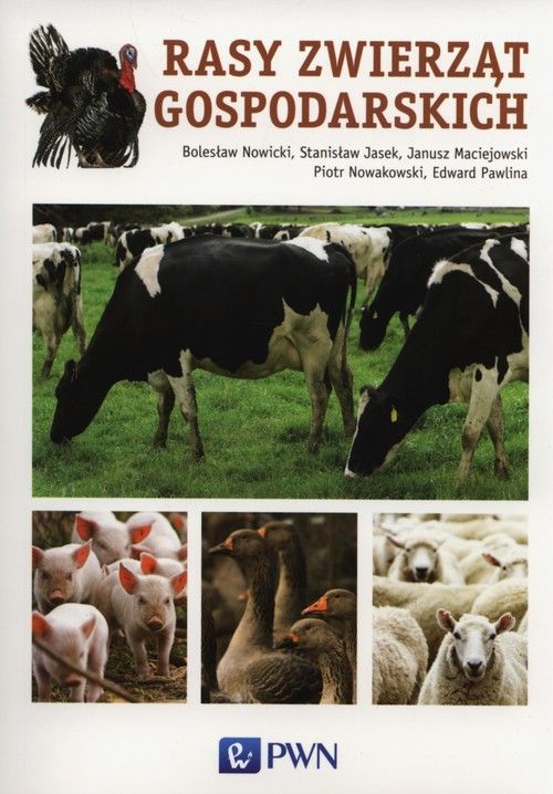Kniha Rasy zwierząt gospodarskich Opracowanie Zbiorowe