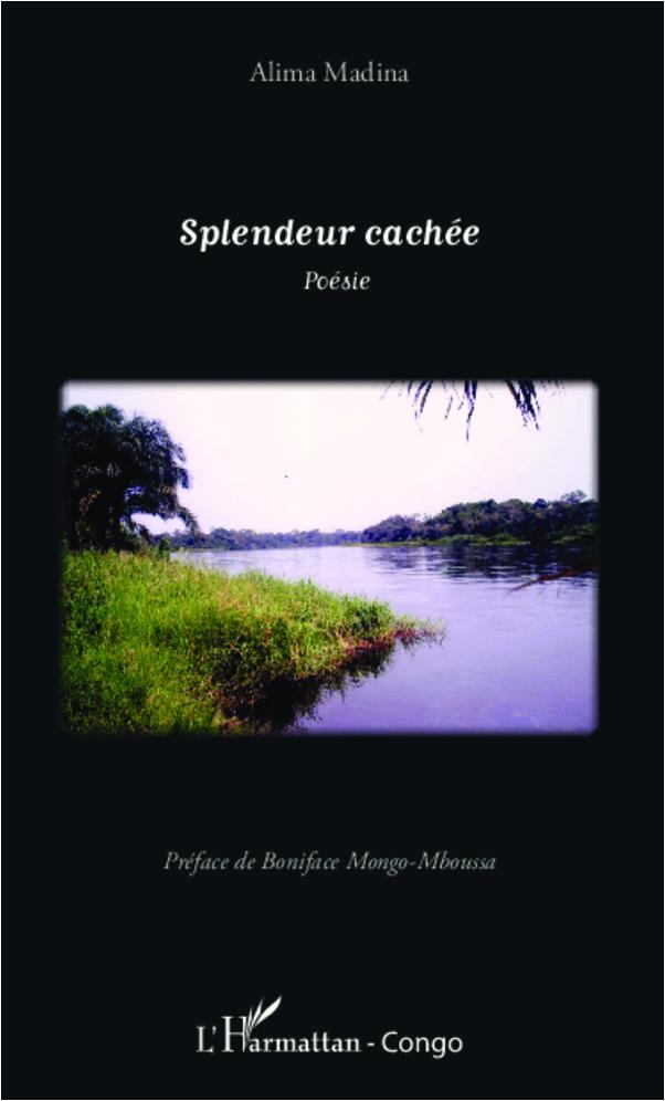 Buch Splendeur cachée Madina