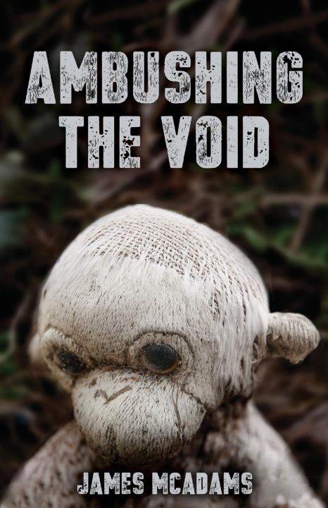 Book Ambushing the Void James McAdams