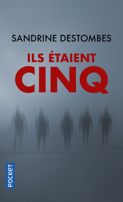 Buch Ils étaient cinq Sandrine Destombes