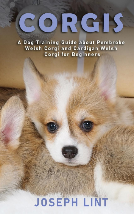 Buch Corgis 