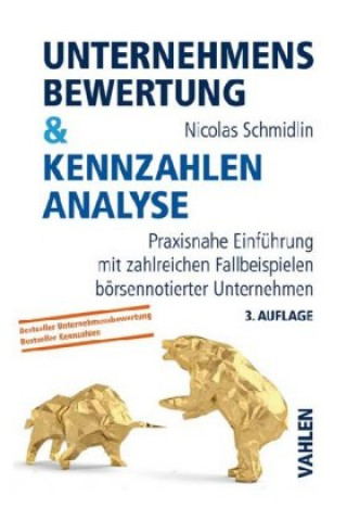 Knjiga Unternehmensbewertung & Kennzahlenanalyse 
