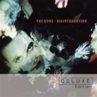 Kniha Disintegration The Cure