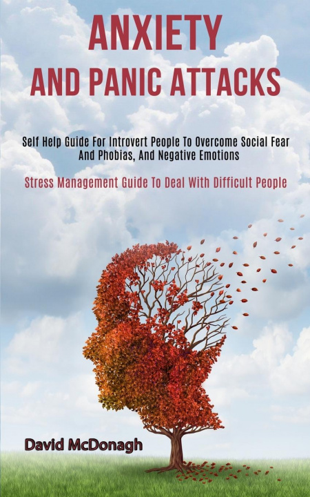 Buch Anxiety and Panic Attacks David McDonagh