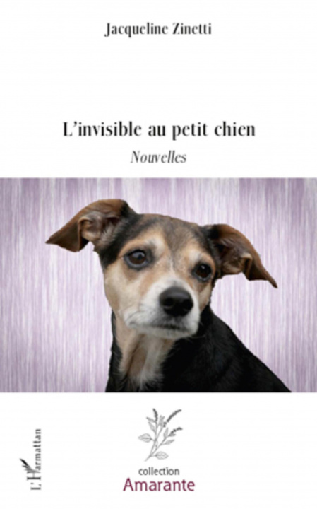 Kniha L'invisible au petit chien 