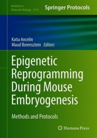 Book Epigenetic Reprogramming During Mouse Embryogenesis Maud Borensztein