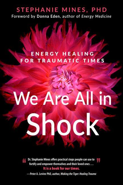 Книга We are All in Shock 