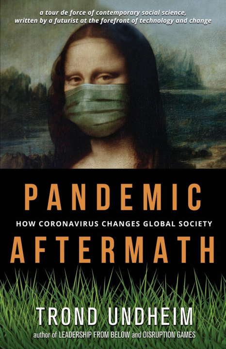Kniha Pandemic Aftermath Trond Undheim
