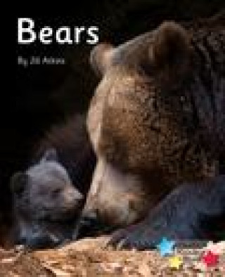 Book Bears Jill Atkins