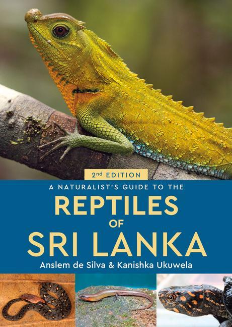 Kniha Naturalist's Guide to the Reptiles of Sri Lanka (2nd edition) Anslem de Silva