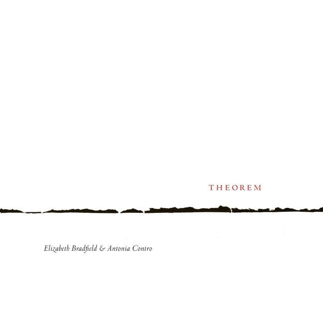 Книга Theorem Elizabeth Bradfield