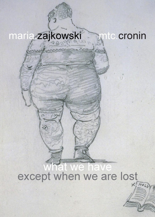Buch What We Have Mtc Cronin