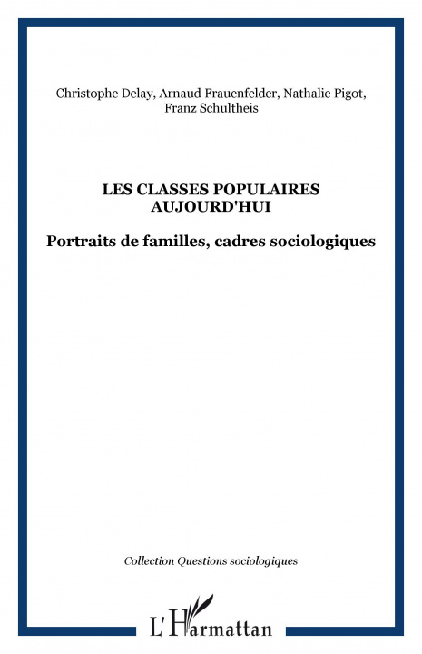 Kniha Les classes populaires aujourd'hui Christophe Delay