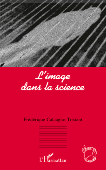 Buch L'image dans la science Calcagno-Tristant